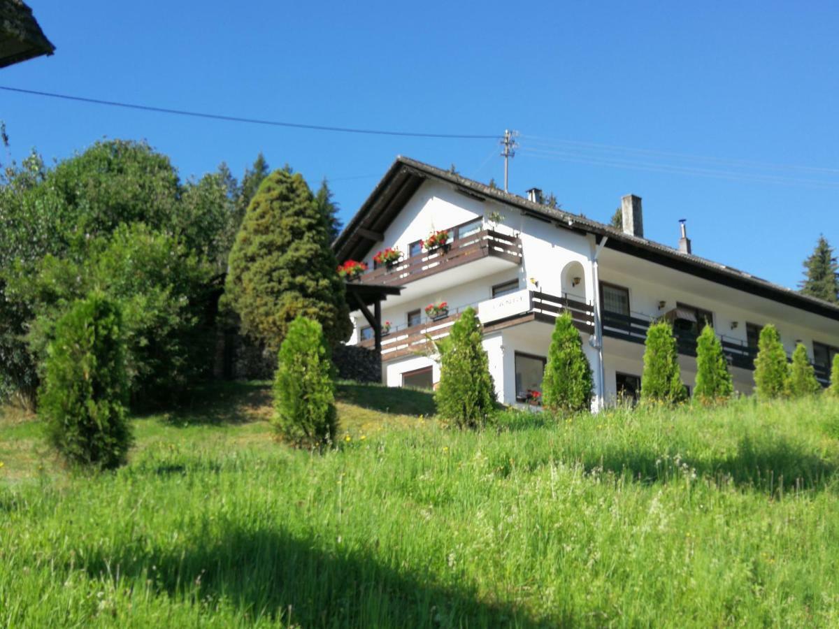 Ferienhaus Enzquelle Enzklösterle Exterior foto